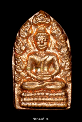 เหรียญพระนาคปรกใบมะขามคงสวัสดี หลวงพ่อคง วัดวังสรรพรส ปี2530 เนื้อทองแดง