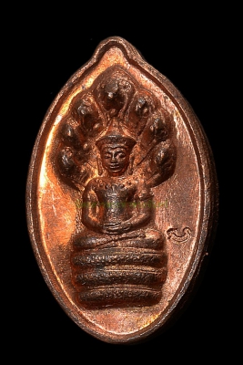 พระนาคปรกเม็ดฟักทอง เนื้อทองแดง หลวงปู่หงษ์ ปี2541 (2)