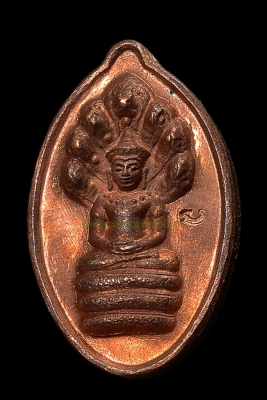 พระนาคปรกเม็ดฟักทอง เนื้อทองแดง หลวงปู่หงษ์ ปี2541(1)