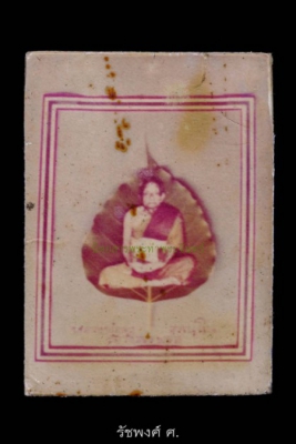 รูปนั่งเต็มองค์หลังใบโพธิ์ขอบลายธงชาติ หลวงพ่อคง วัดวังสรรพรส จังหวัดจันทบุรี องค์ดารา