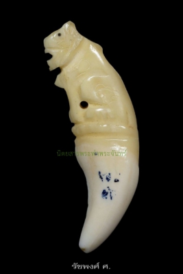 เสือสมิงเขี้ยวแกะ หลวงพ่อคง วัดวังสรรพรส จังหวัดจันทบุรี